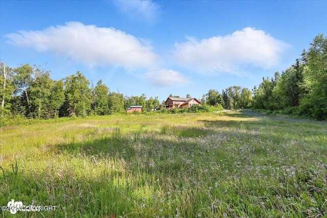 4033 W Sunrise Rd, Wasilla, AK 99623 - photo 133