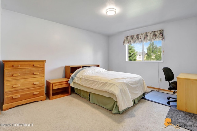 1710 Rierie Dr, Anchorage, AK 99507 - photo 30