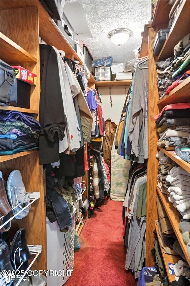 1801 Rebel Ridge Dr, Anchorage, AK 99504 - walk in closet with carpet