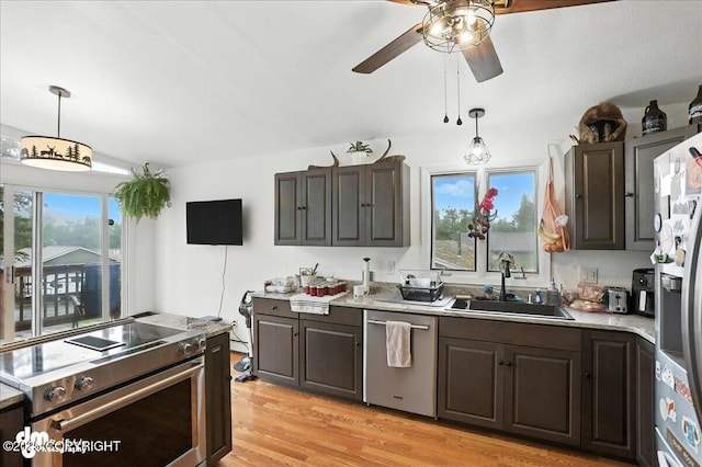 10845 Anvik Cir, Eagle River, AK 99577 - kitchen featuring stainless steel appliances, light countertops, ceiling fan, light wood-type flooring, and dark brown cabinetry