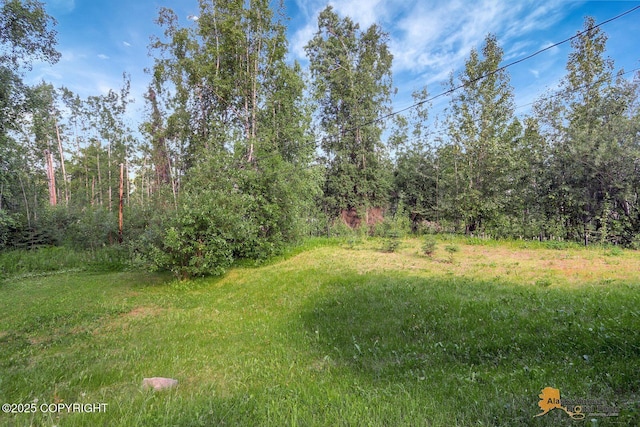 14854 W Fox, Big Lake, AK 99623 - view of yard