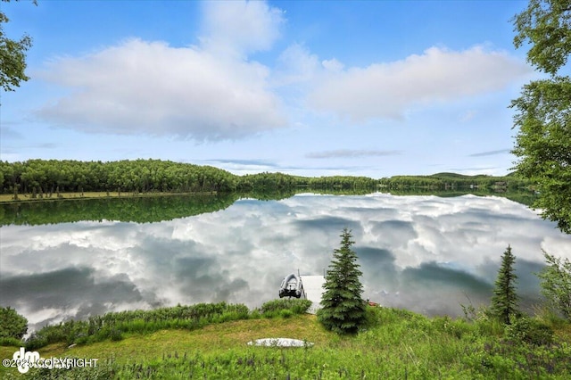 17754 W Erika Dr, Big Lake, AK 99623 - photo 84