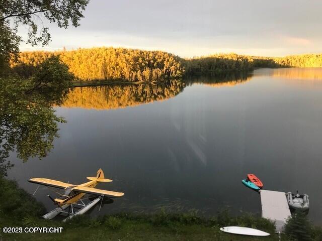 17754 W Erika Dr, Big Lake, AK 99623 - photo 109