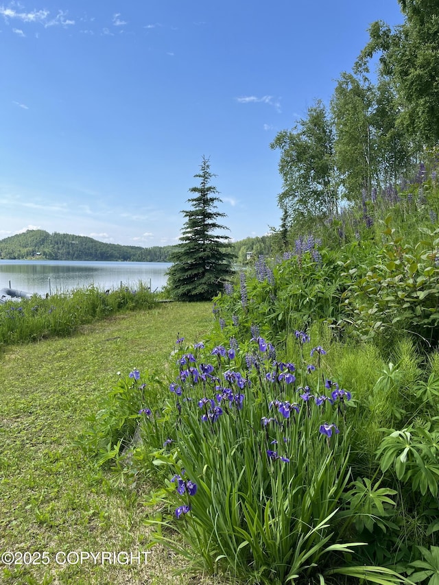 17754 W Erika Dr, Big Lake, AK 99623 - photo 112