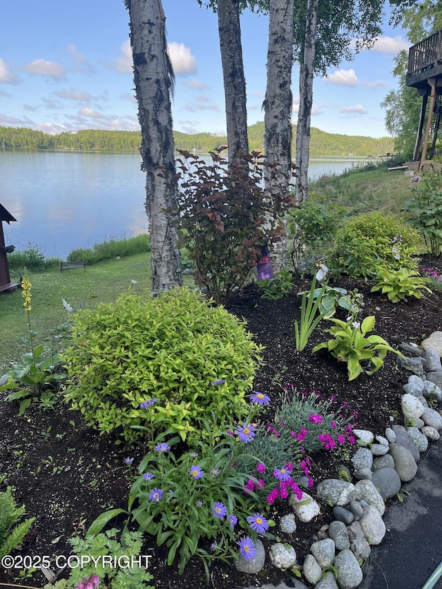 17754 W Erika Dr, Big Lake, AK 99623 - photo 113