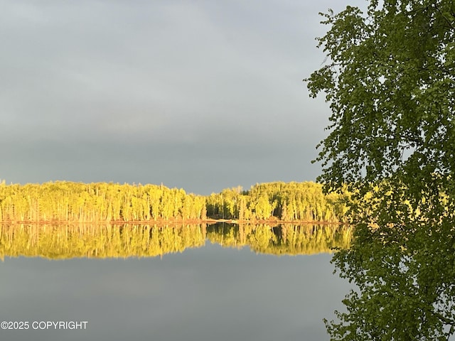17754 W Erika Dr, Big Lake, AK 99623 - photo 110