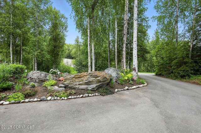 17754 W Erika Dr, Big Lake, AK 99623 - photo 118