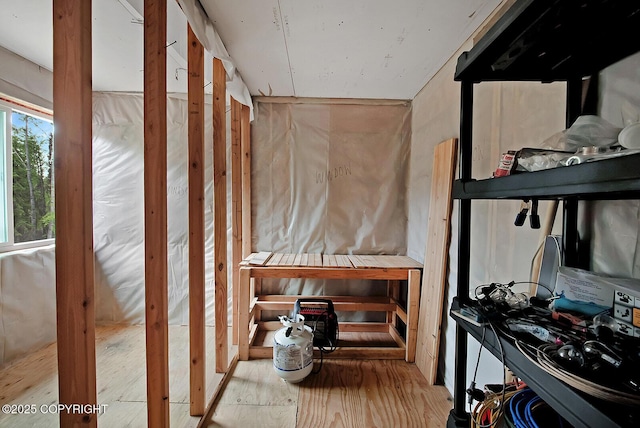 69222 S Parks Hwy, Willow, AK 99688 - view of storage area