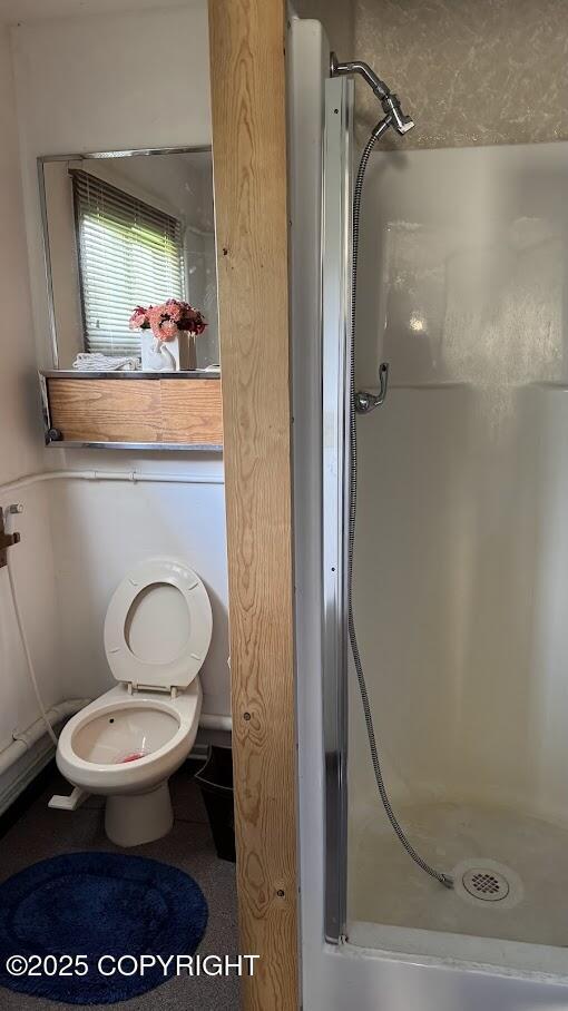 34704 Dolly Way, Sterling, AK 99672 - bathroom with a stall shower and toilet