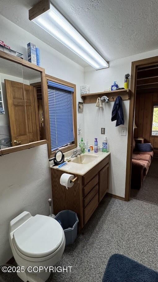 34655 Sockeye Ln, Sterling, AK 99672 - bathroom with vanity and a textured ceiling