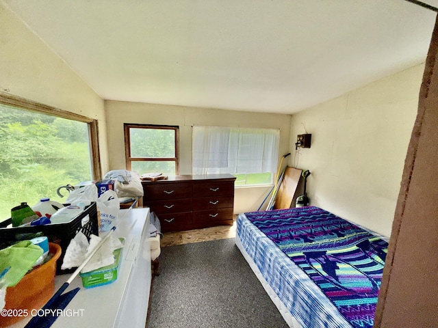 12210 Sterling Hwy, Ninilchik, AK 99639 - photo 10