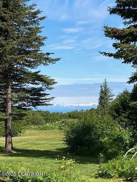 12210 Sterling Hwy, Ninilchik, AK 99639 - photo 4