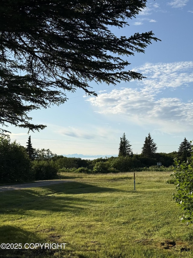 12210 Sterling Hwy, Ninilchik, AK 99639 - photo 42