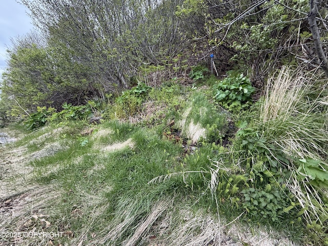 25646 Hawks Beach Rem SW, Anchor Point, AK 99556 - view of local wilderness