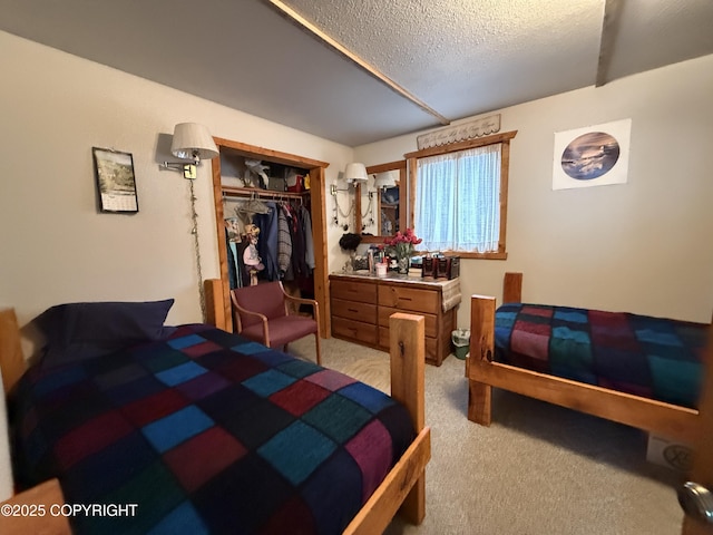 25646 Hawks Beach Rem SW, Anchor Point, AK 99556 - bedroom featuring carpet flooring, a closet, and a textured ceiling