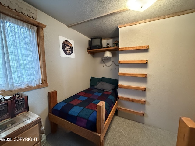 25646 Hawks Beach Rem SW, Anchor Point, AK 99556 - bedroom featuring carpet and a textured ceiling