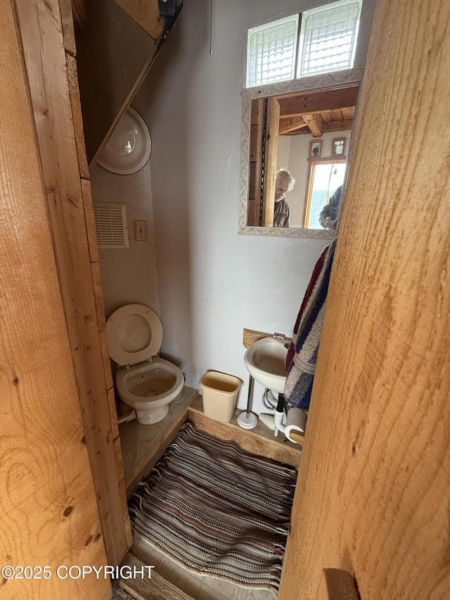25646 Hawks Beach Rem SW, Anchor Point, AK 99556 - bathroom featuring toilet and a sink