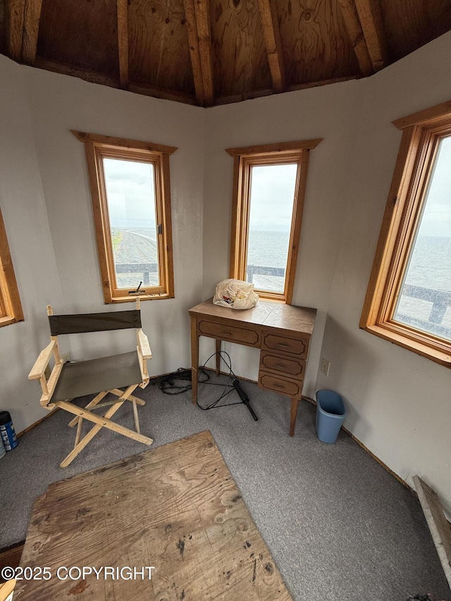 25646 Hawks Beach Rem SW, Anchor Point, AK 99556 - view of carpeted office space