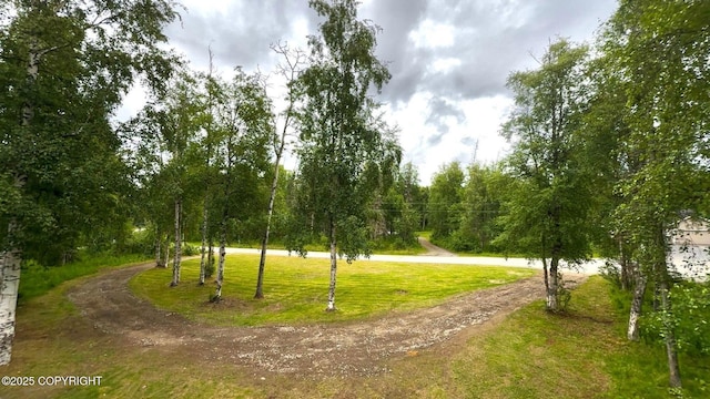 1745 W Riffle St, Wasilla, AK 99654 - photo 12