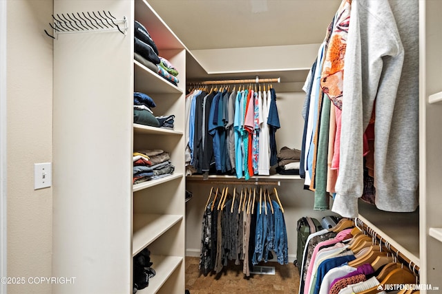 15250 Evergreen Ridge St, Anchorage, AK 99516 - spacious closet with carpet floors