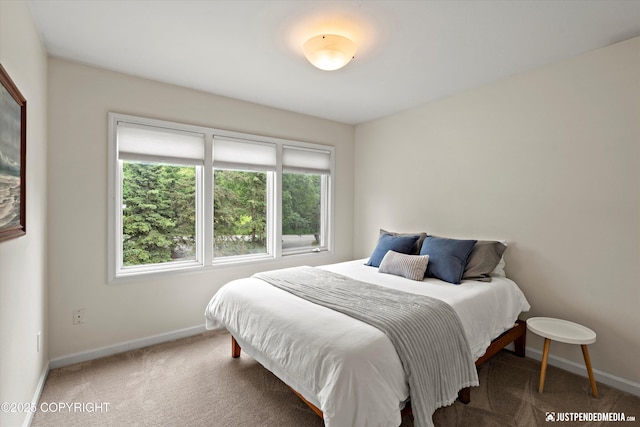 15250 Evergreen Ridge St, Anchorage, AK 99516 - carpeted bedroom featuring multiple windows