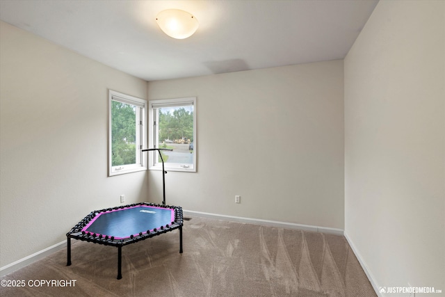 15250 Evergreen Ridge St, Anchorage, AK 99516 - rec room with baseboards and carpet flooring