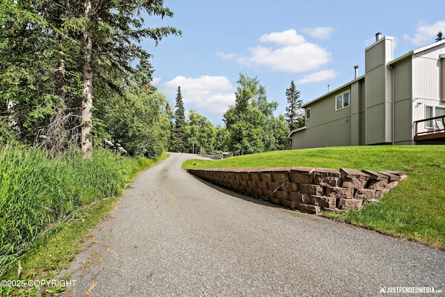 15250 Evergreen Ridge St, Anchorage, AK 99516 - view of asphalt road