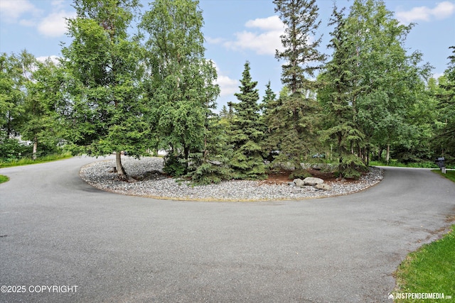 15250 Evergreen Ridge St, Anchorage, AK 99516 - view of asphalt road