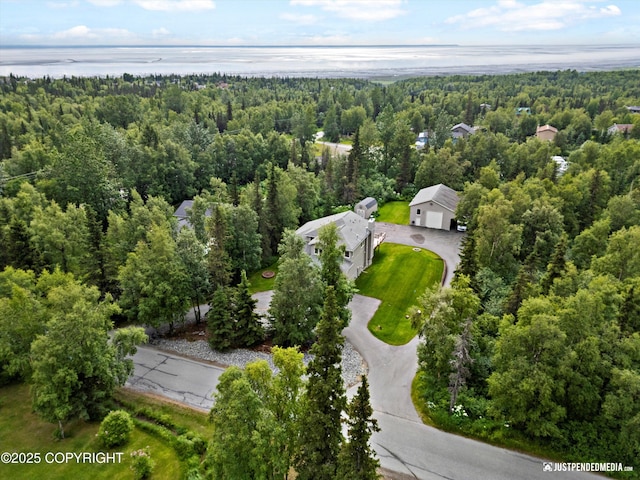 15250 Evergreen Ridge St, Anchorage, AK 99516 - drone / aerial view of a heavily wooded area