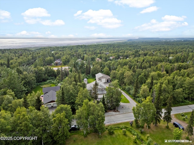 15250 Evergreen Ridge St, Anchorage, AK 99516 - aerial overview of property's location with a forest