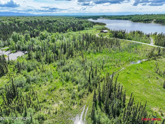 6350 W Cove Dr, Wasilla, AK 99623