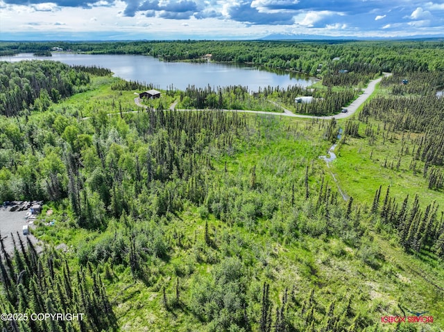 6350 W Cove Dr, Wasilla, AK 99623