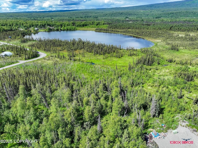 6350 W Cove Dr, Wasilla, AK 99623