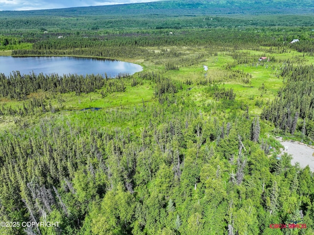 6350 W Cove Dr, Wasilla, AK 99623