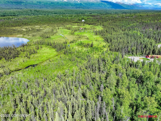 6350 W Cove Dr, Wasilla, AK 99623