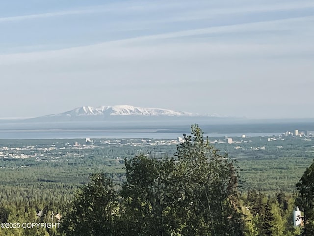 9800 Prospect Dr, Anchorage, AK 99507 - photo 29