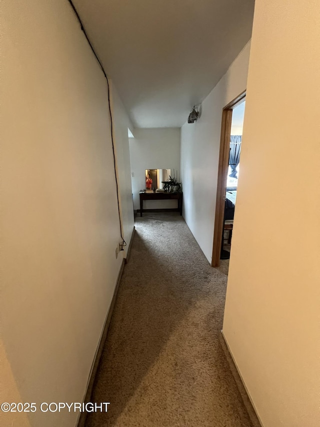320 Bawden St # 407, Ketchikan, AK 99901 - photo 4