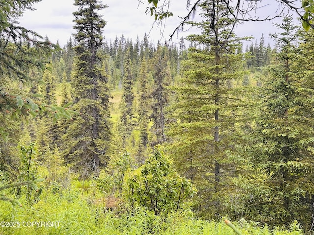 31315 Birch Haven Rd, Anchor Point, AK 99556