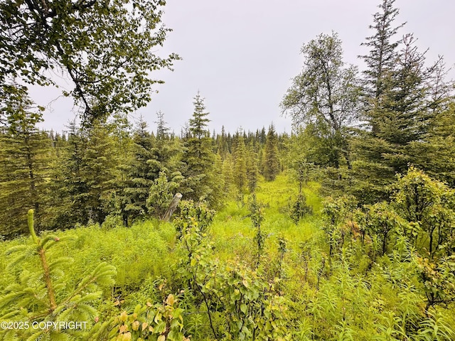 31315 Birch Haven Rd, Anchor Point, AK 99556