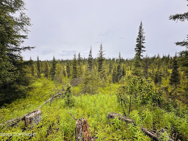 31315 Birch Haven Rd, Anchor Point, AK 99556