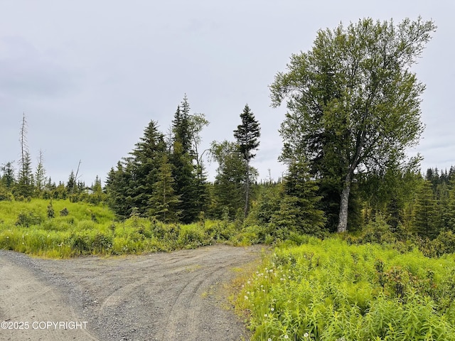 31315 Birch Haven Rd, Anchor Point, AK 99556