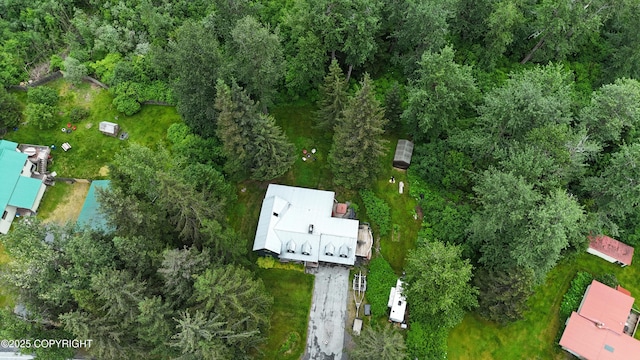 2600 Birch St, Seward, AK 99664 - aerial overview of property's location