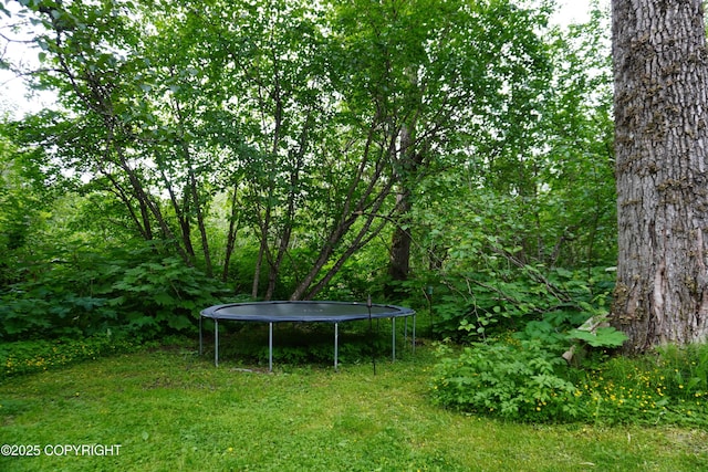 2600 Birch St, Seward, AK 99664 - view of yard with a trampoline