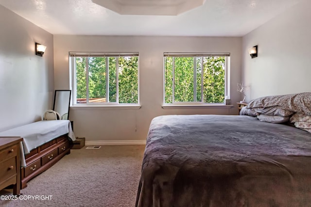 9700 E Strand Dr, Palmer, AK 99645 - bedroom featuring carpet flooring and baseboards