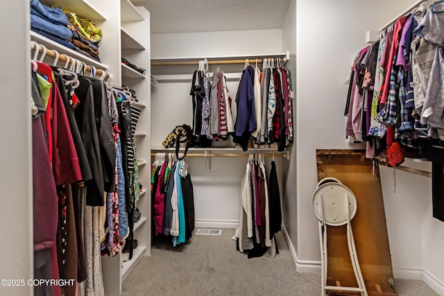 9700 E Strand Dr, Palmer, AK 99645 - walk in closet featuring carpet floors