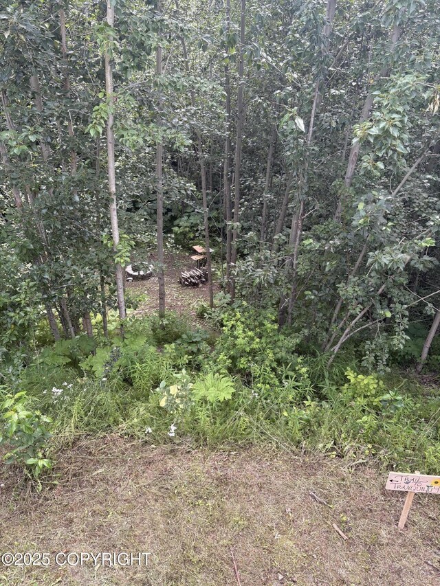 9700 E Strand Dr, Palmer, AK 99645 - photo 24