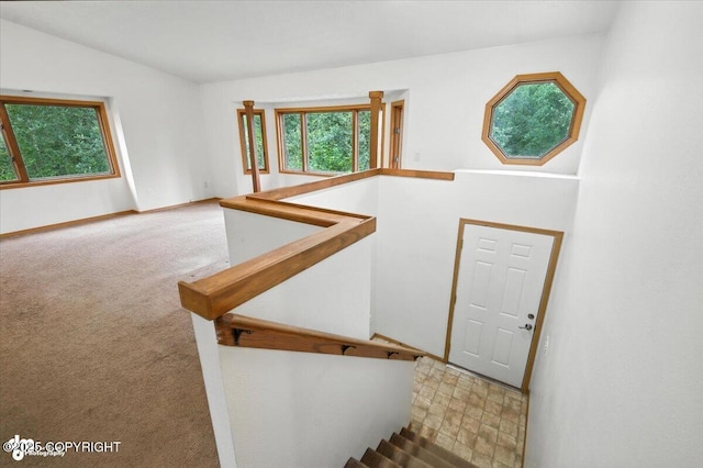 840 N Voss Cir, Wasilla, AK 99623 - stairs with carpet flooring