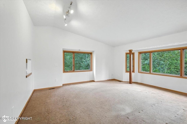 840 N Voss Cir, Wasilla, AK 99623 - carpeted empty room with lofted ceiling, healthy amount of natural light, a textured ceiling, and rail lighting