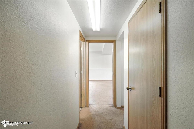 840 N Voss Cir, Wasilla, AK 99623 - corridor with light carpet and a textured wall