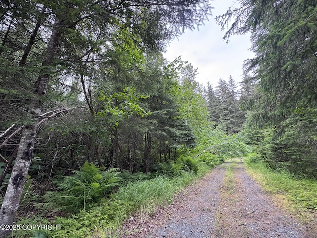 33360 Nash Rd, Seward, AK 99664